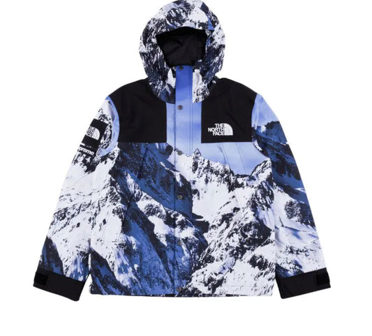 Supreme x North Face Mountain Print Parka